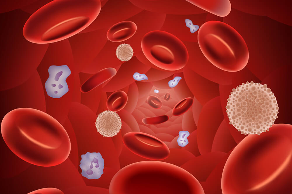 The Role of Platelet Count in Diagnosing Blood Disorders